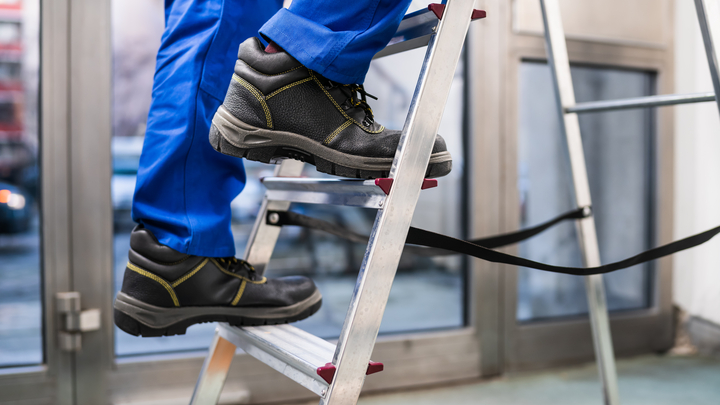 Foto: adobe.stock / Andrey Popov